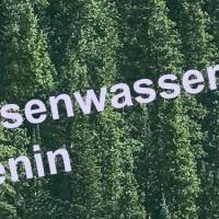 Auch in Benin wird Rosenwasser verwendet - Hier die Vorteile