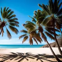 Strand in Benin - Traumhafte Strände für Touristen und Einheimische